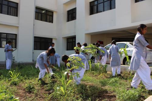 Nature Club 2019-20