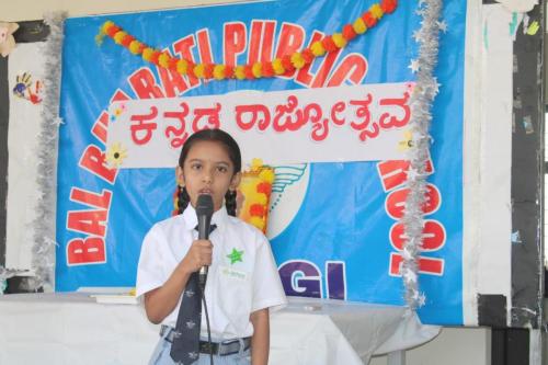 Karnataka Rajyotsava