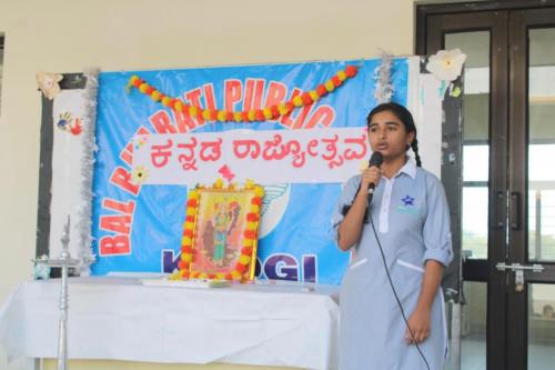 Karnataka Rajyotsava