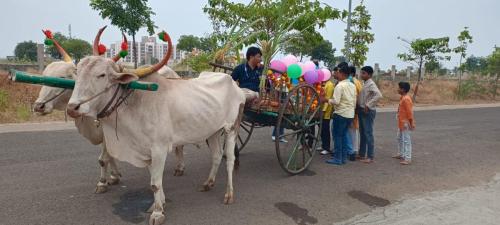 Makar Sankranti-2024