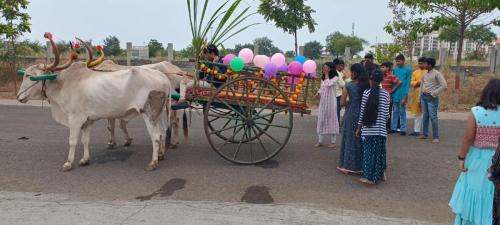 Makar Sankranti-2024