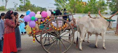 Makar Sankranti-2024