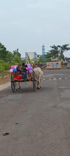 Makar Sankranti-2024